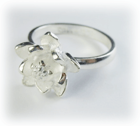 y͂/nX/@/[^X/͂/ni//t[//AWA/xgi/G/Vo[ANZT[/O/wցzAWAG݃Vo[ANZT[[^..