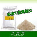 C.E.F(20g)【送料無料】メール便にて***【SBZcou1208】