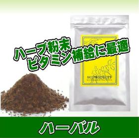 ベリーベリー S 25g【送料無料】***メール便にて***【SBZcou1208】犬猫用尿路の健康維持に