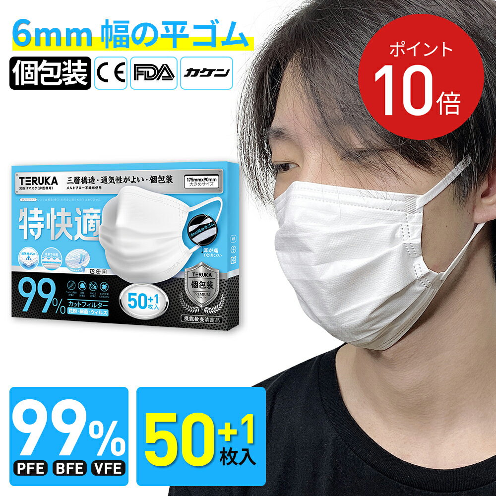 【翌日発送】マスク TERUKA 不織布マスク マスク 50枚+1枚 大きめ 175mm 個包装 使い捨て 大人用 男性用 女性用 マスクゴム プリーツ 送料無料 メルトブローン フィルター ほこり ウイルス 花粉対策 飛沫防止 防護マスク