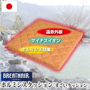 すごいクッション ホルミシス シート クッション ブレスエアー ホルミシス効果 遠赤外線 マイナスイオン 玉川温泉 バドガンシュタイン ラドン浴 天然ラドン ラジウム 鉱石 北投石 岩盤浴 約40×40×高さ4cm 日本製 綿100%