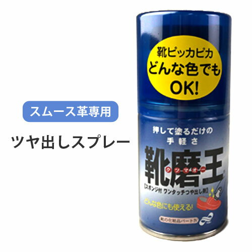 【トーエー 靴磨王】ツヤ出しスプレー 100ml