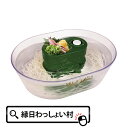 流しそうめん器 涼雅 そうめんながし 夏 風流 調理器具 主婦 家族で楽しむ クッキングトイ 調理 家庭用 ステイホーム おうちで過ごそう 素麺パーティー