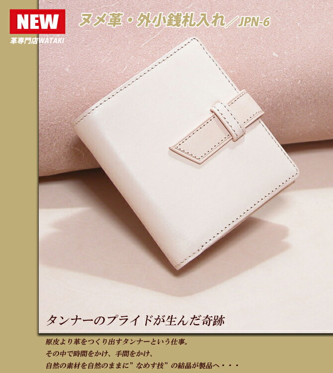 ʪ-ۡ󥱡̥סʥ쥶 ޤۡʾ줢 ѥ̥ᡧ