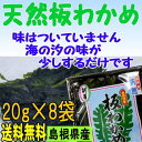 【送料無料】島根県の特産【お土産】天然板わかめ8袋セット【若布】【めのは】【RCP】