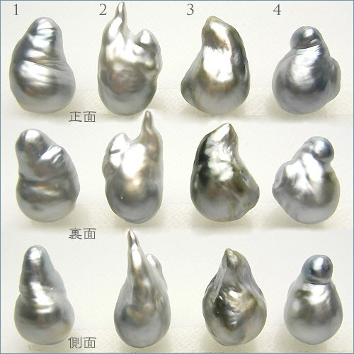 Vo[O[p[[X̂^q`obNp[[X 0619PUP10JU