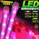 LED 植物育成 蛍光灯 120cm 40W形 消費電力22W 口金G13 水耕栽培ランプ 室内での植物や野菜の育成に 直管型 LED蛍光灯 LED植物育成ライト プラントライト グロー式工事不要 室内栽培 植物育成用 40w型 直管形 高輝度タイプ【lk042】【激安】【02P03Dec16】