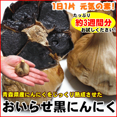 食後の臭いが気にならない☆『おいらせ熟成黒にんにく』100g[※3〜5玉入り（約3週間分）][※メール便対応不可]【2sp_120810_green】エッ！これがにんにく！？気になる臭いも全くないしプルーンのような味わいで食べやすい♪