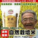 【メール便送料無料】【期間限定価格】『奇跡のりんご』木村秋則さん監修の完全無肥料・無農薬米のお試し品『青森県産自然栽培玄米(品種:まっしぐら玄米)』300g(約2合)
