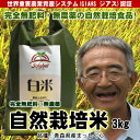 無肥料無農薬米まっしぐら白米3kg(平成29年度産・青森県産...
