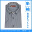 メンズ半袖ワイシャツ(ジャパンフィット・ボタンダウン) BB-205