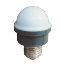 ジェフコム LEDサイン球(散光タイプ) ホワイト P18SW-E2601-W