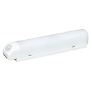 アイリスオーヤマ 乾電池式屋内センサーライト ウォールタイプ 昼白色 ホワイト BSL40WN-W