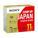 【送料無料】ソニー SONY 録画用BD-RE XL 2倍速 100GB 10枚+1枚 11BNE3VZPS2