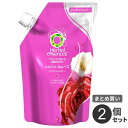 まとめ買い P&G ハーバルエッセンス なめらかスムース コンディショナー つめかえ 340g 2個セット