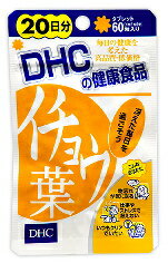 DHCイチョウ葉 60粒入（20日分）