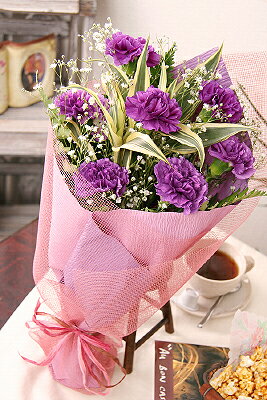 サントリーが開発「世界初の青紫色のカーネーション」【送料無料】幸せを願うカーネーションムーンダスト花束（カーネーションギフト花束）誕生日・お祝い・結婚祝い・お見舞い・歓送迎会・お礼の花の配達便