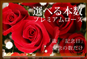 ԑ؂Ȑl̈ԑ؂ȓɁIōbh[YDȖ{ԑł͂yzv~Abh[Y{w[10{ȏł] aELO..