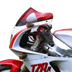 SECDEM セクデム スタンダード・スクリーン TZR125 EU YAMAHA ヤマハ スクリーン 外装
