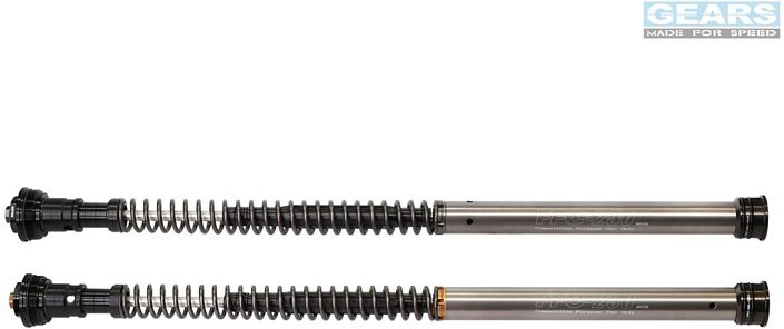 GEARS RACING ギアーズレーシング FFC-250TT フロントフォークカートリッジ 倒立フォーク TRIDENT 660 (21-) TRIUMPH トライアンフ カートリッジキット サスペンション 足回り