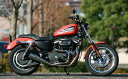 DLIVE ドライブ フルエキゾーストマフラー スポーツライン フルエキゾーストシステム メガホン チタンヒートカラー XL1200 XL1200R XL883 XL883R