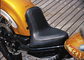 DRAGSTAR1100 [ɥå] ڥȡۥꥫɥå å好