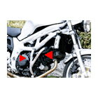 ڥɡ饤ۥɥ:GOLDMEDAL å奬 󥸥󥬡ɡSV650 : SV400