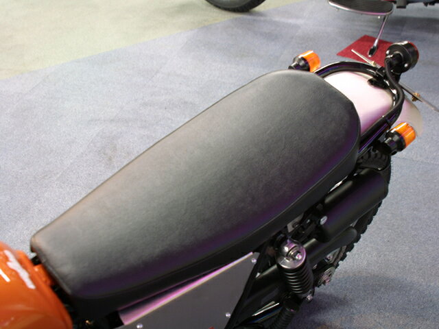 ڥȡۥɥ:GOLDMEDAL ȥåȡ250TR