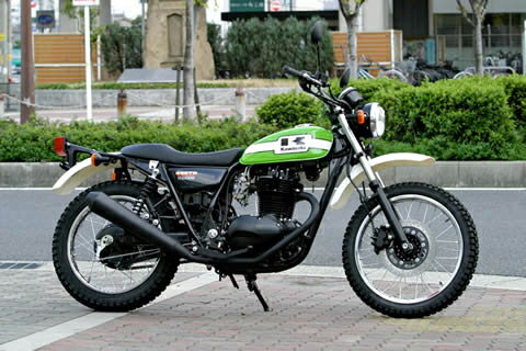 ڥȡۥɥ:GOLDMEDAL եȡ250TR