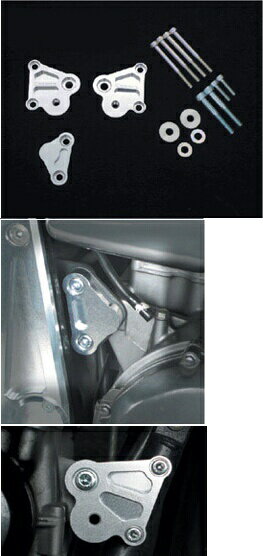 ZEPHYR1100 [ե] ڥإåɥ饤ȥ֥饱åȡơۥ:COERCE 󥸥֥饱å