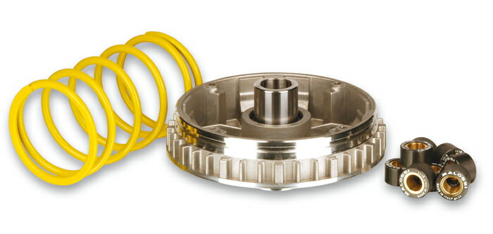 ڥưϡۥޥå:MALOSSI ޥХꥨ2000MAJESTY250 [ޥƥ]