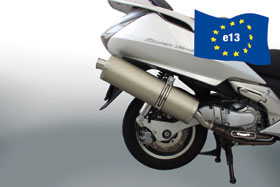 ڥޥե顼Ρۥޥå:MALOSSI MAXI WILD-LION ȥƥࡧSILVER WING600 [С]