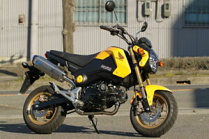 TSRテクニカルスポーツレーシングフルエキゾーストマフラーフルエキゾーストヘキサゴンサイレンサーGROM