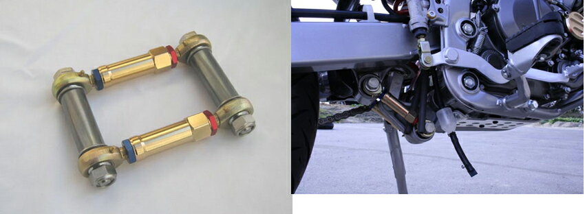 ڥڥ󥷥ۥȥ饤:antlion ⥿ ֹĴåȡD-TRACKER [Dȥå] : ⥿