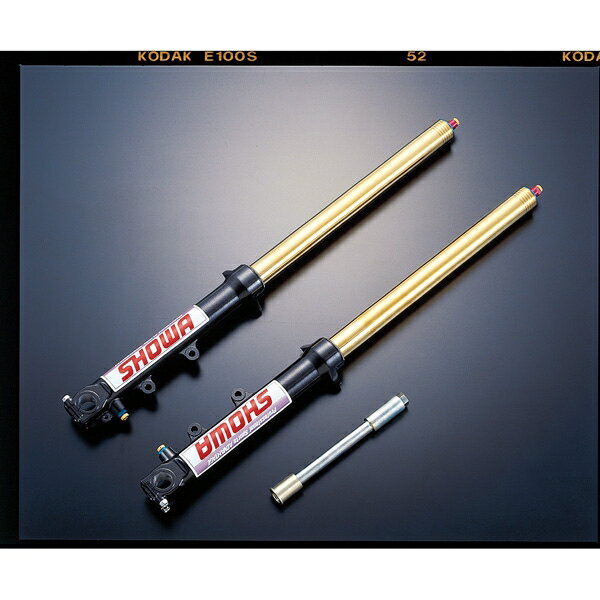 yz yTXyVzAhoe[W:ADVANTAGE tgtH[N Type-1T ytgtH[Nz