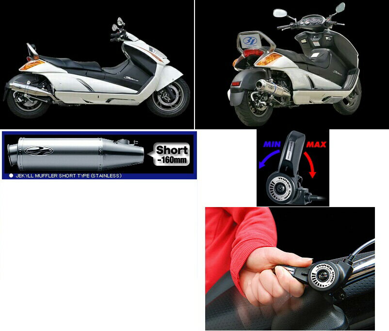 GEMMA [] ڥޥե顼Ρۥ꡼:31 ޥե顼