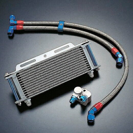 yz yICN[[zACTIVE:ANeBu A[Y@Xg[gICN[[Lbg@FGPZ1100 : Z1100GP yICN[[{́z