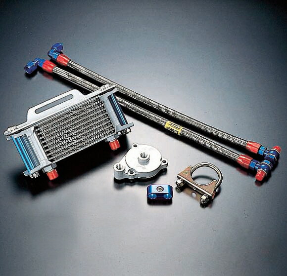 yz yICN[[zACTIVE:ANeBu A[Y@Xg[gICN[[Lbg@FGB250 CLUBMAN [Nu}] yICN[[{́z