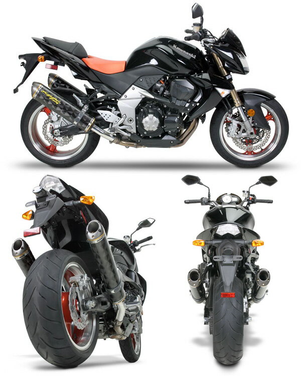 Z1000 ڥޥե顼Ρۥġ֥饶:Two Brothers V.A.L.E.ǥ奢륹åץޥե顼