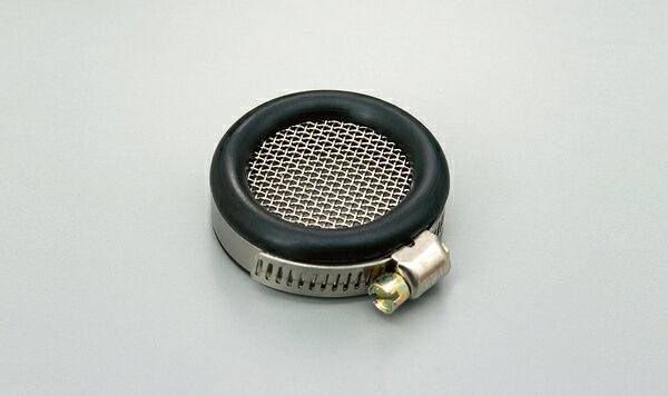 ڥѡġۥǥȥ:DAYTONA ͥåȥե륿(35)