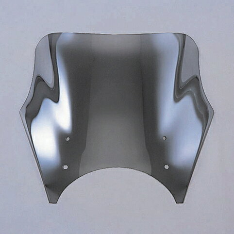 ڳۥǥȥ:DAYTONA ֥饹ȥХꥢ ꡼