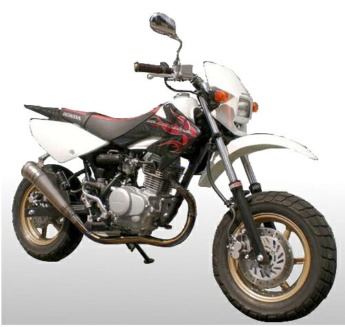 XR100⥿ɡ ڥޥե顼Ρۥҥʥ졼:ASAHINA RACING ƥå GP  ե륨ȥޥե顼