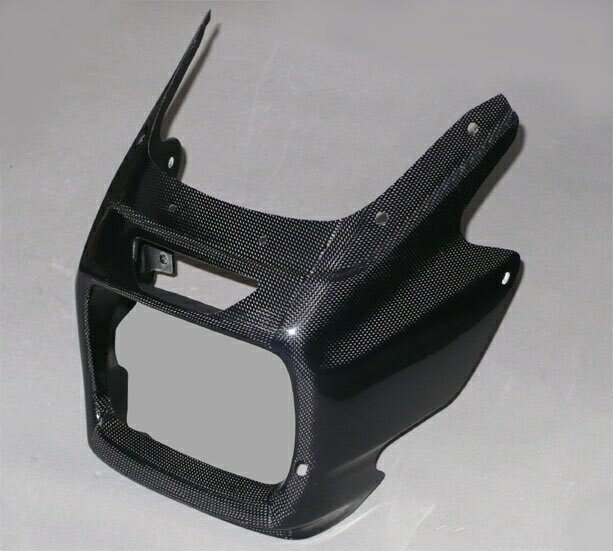 ZRX1200 ڥӥ˥ۥ:COERCE ӥ˥