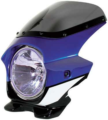 XJR1300 ڥӥ˥N PROJECT Nץ ֥饹II եå꡼ʼּ̾ɥ֥饹Ȳù XJR