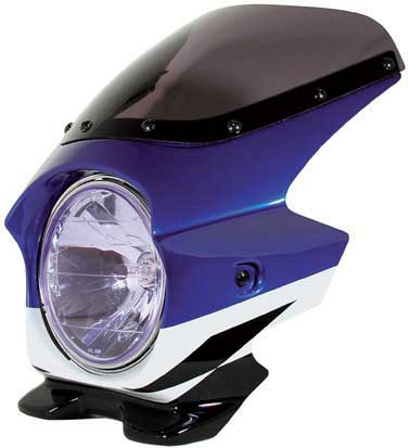 XJR1300 ڥӥ˥N PROJECT Nץ ֥饹II եå꡼ʼּ̾ɥ֥饹Ȳù XJR