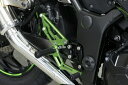 TRICK STAR トリックスター ドレスアップキット イニシャルアジャスターカラー:グリーン×ブラック バックステップカラー:グリーン×ブラック NINJA250