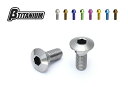 【在庫あり】βTITANIUM ベータチタニウム βチタニウ...