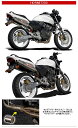 ヤマモトレーシング YAMAMOTO RACING フルエキゾーストマフラー スペックA フルエキゾースト2本出しマフラー ホーネット250