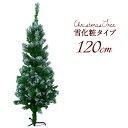 【最大2000円引きCP配布中!】【雪化粧付き】クリスマスツ...