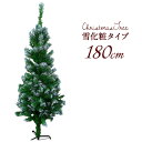 【レビュー報告でクーポンGET♪】【雪化粧付き】クリスマスツ...